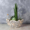 St. Lawrence Potted Succulent Garden From Los Angeles Baskets - Los Angeles Delivery