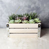Amesbury Succulent Crate from Los Angeles Baskets - Los Angeles Delivery