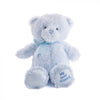 Blue Best Friend Baby Plush Bear from Los Angeles Baskets - Los Angeles Delivery