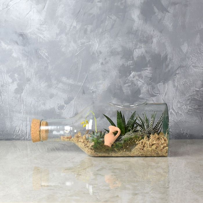 Cliffcrest Succulent Garden in a Bottle from Los Angeles Baskets - Succulent Gift - Los Angeles Delivery