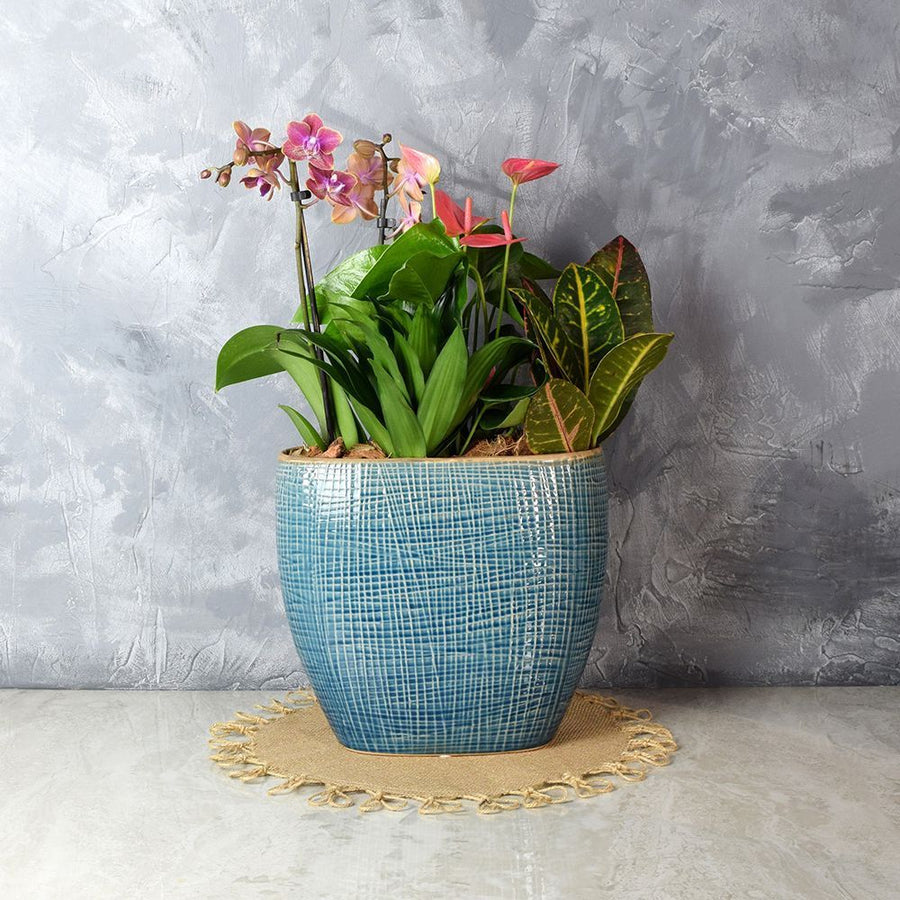 Hillcrest Floral Tropical Garden from Los Angeles Baskets - Los Angeles Delivery