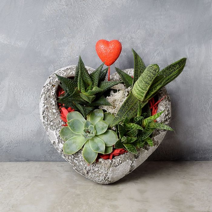 Rock Garden Succulents of Love from Los Angeles Baskets - Plant Gift - Los Angeles Delivery