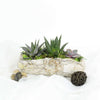 Succulent Rock Garden From Los Angeles Baskets - Los Angeles Delivery