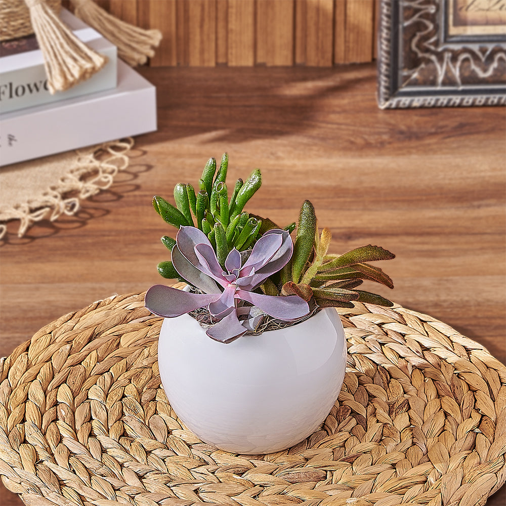4-Inch Succulent Plant Planter Gift – how the gift is presented
