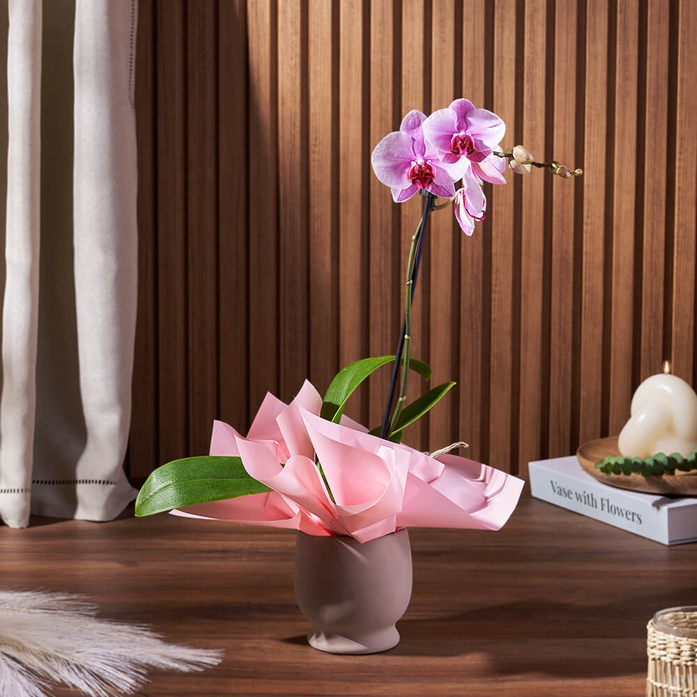 Elegant Phalaenopsis Orchid Potted Plant in Ceramic Pot – how the gift is presented