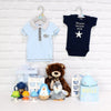 Deluxe Basket for a Baby Boy from Los Angeles Baskets - Los Angeles Delivery